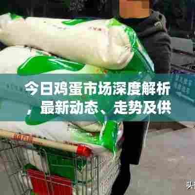 今日鸡蛋市场深度解析,最新动态、走势及供需全方位探讨