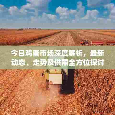 今日鸡蛋市场深度解析,最新动态、走势及供需全方位探讨