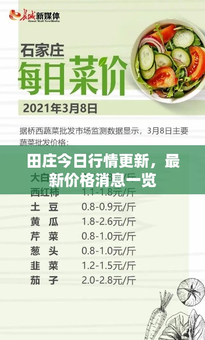 田庄今日行情更新，最新价格消息一览