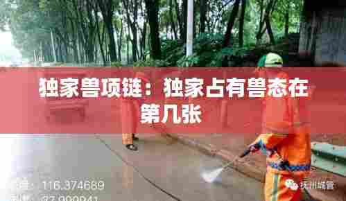 独家兽项链:独家占有兽态在第几张