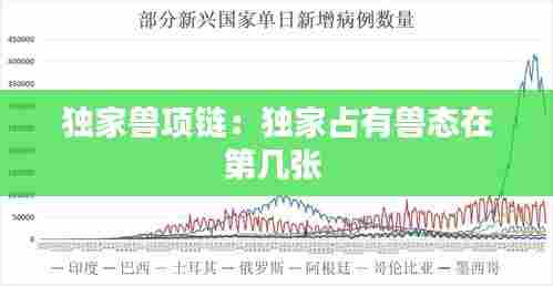 独家兽项链:独家占有兽态在第几张