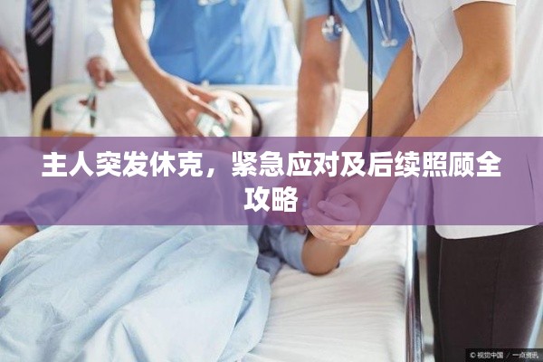 主人突发休克,紧急应对及后续照顾全攻略