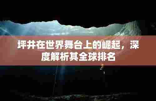 坪井在世界舞台上的崛起，深度解析其全球排名