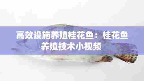 张骞乘槎 第8页