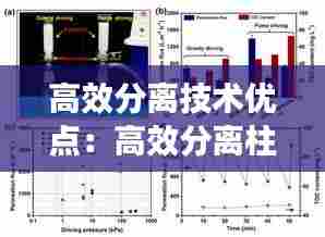 高效分离技术优点:高效分离柱作用