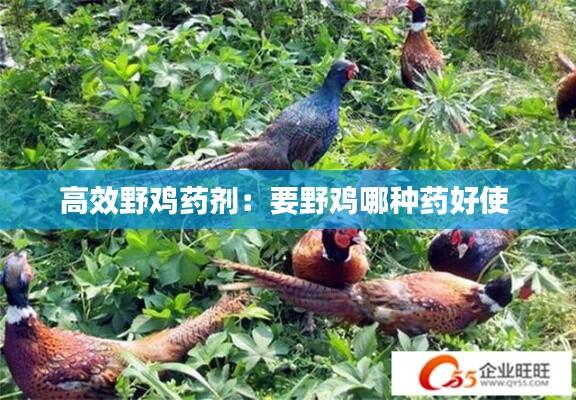 高效野鸡药剂：要野鸡哪种药好使 