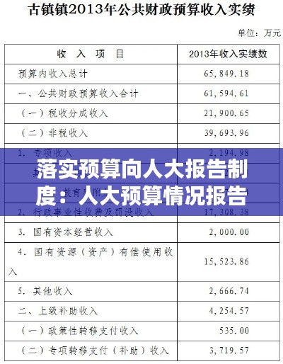 落实预算向人大报告制度:人大预算情况报告 镇政府