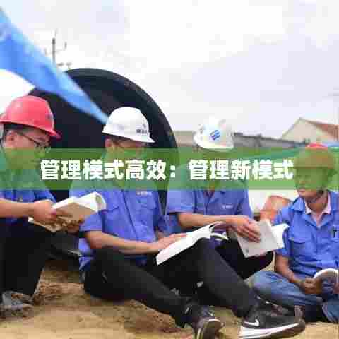 管理模式高效：管理新模式 