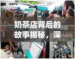奶茶店背后的故事揭秘，深度探索与报道