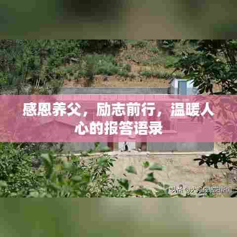 感恩养父，励志前行，温暖人心的报答语录
