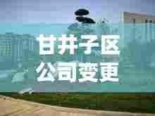 甘井子区公司变更排名最新动态揭秘！