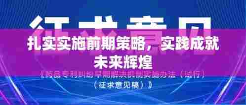 扎实实施前期策略,实践成就未来辉煌
