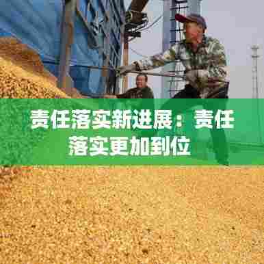 责任落实新进展:责任落实更加到位