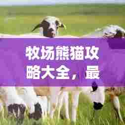 牧场熊猫攻略大全,最新图文教程助你轻松玩转游戏!