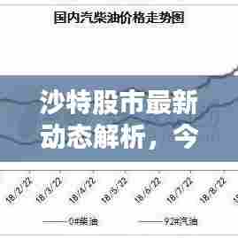 沙特股市最新动态解析，今日市场走势分析