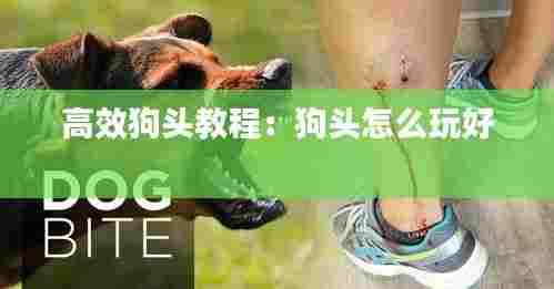 高效狗头教程：狗头怎么玩好 