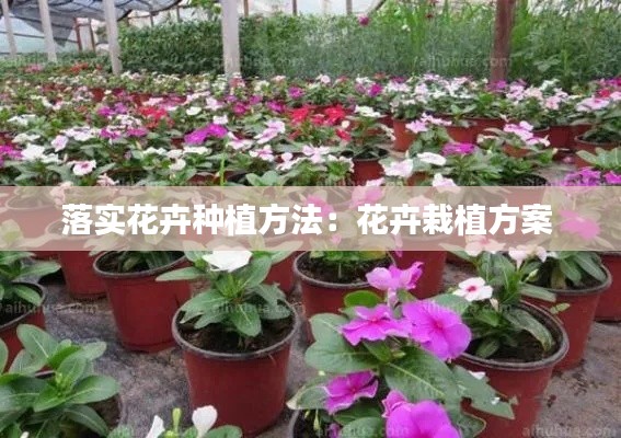 落实花卉种植方法：花卉栽植方案 