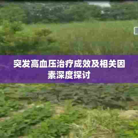 瑞雪纷飞 第8页