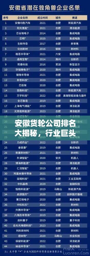 安徽货轮公司排名大揭秘,行业巨头榜单来袭!