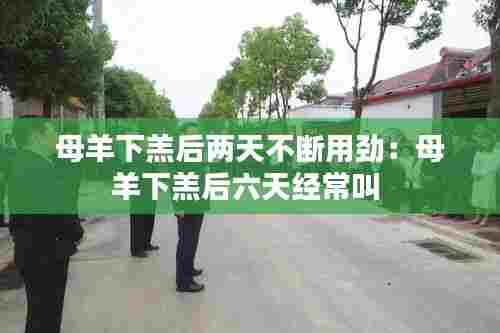 避难就易 第8页