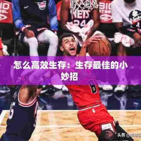 怎么高效生存：生存最佳的小妙招 