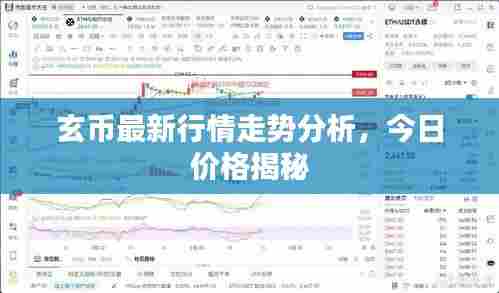 玄币最新行情走势分析，今日价格揭秘
