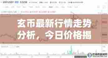 玄币最新行情走势分析,今日价格揭秘