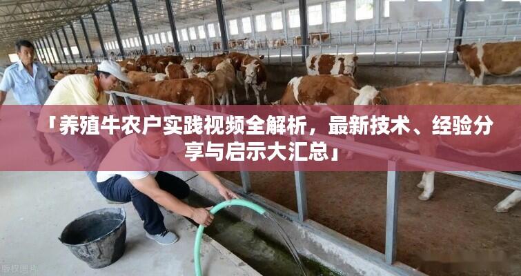 「养殖牛农户实践视频全解析,最新技术、经验分享与启示大汇总」