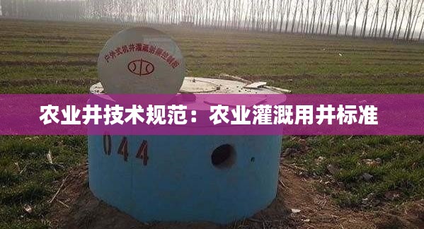 农业井技术规范:农业灌溉用井标准