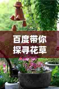 百度带你探寻花草间的诗意，共赏自然之美