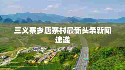 三义寨乡唐寨村最新头条新闻速递