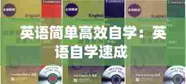英语简单高效自学:英语自学速成