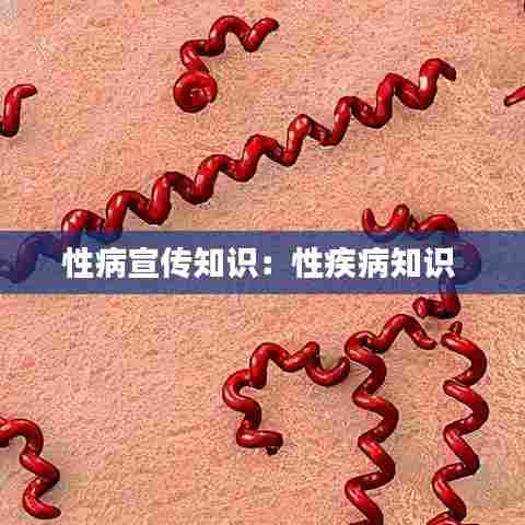 性病宣传知识：性疾病知识 