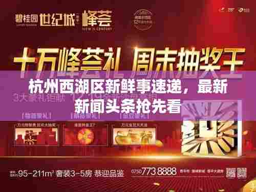 杭州西湖区新鲜事速递，最新新闻头条抢先看