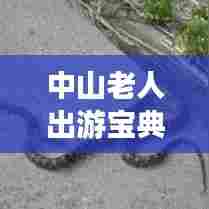 中山老人出游宝典,畅游景点,享受无忧旅行!