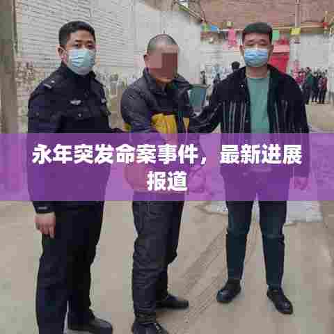 永年突发命案事件,最新进展报道