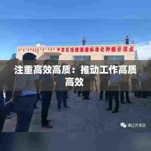 注重高效高质：推动工作高质高效 
