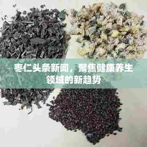 枣仁头条新闻，聚焦健康养生领域的新趋势