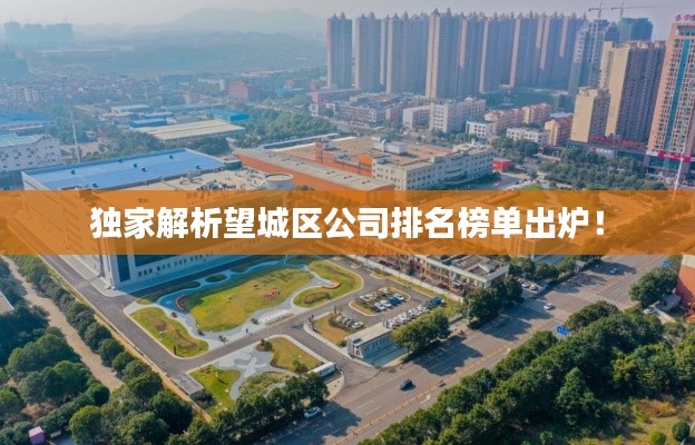 独家解析望城区公司排名榜单出炉！