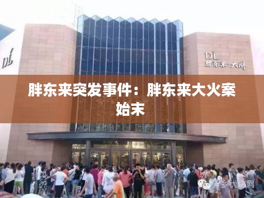胖东来突发事件:胖东来大火案始末
