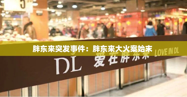 胖东来突发事件:胖东来大火案始末