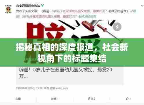 揭秘真相的深度报道，社会新视角下的标题集结