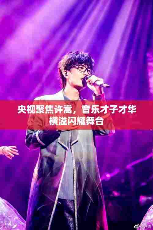 央视聚焦许嵩,音乐才子才华横溢闪耀舞台