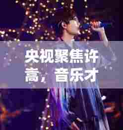 央视聚焦许嵩,音乐才子才华横溢闪耀舞台