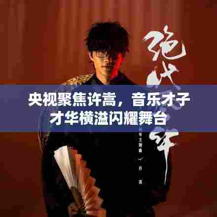 央视聚焦许嵩,音乐才子才华横溢闪耀舞台