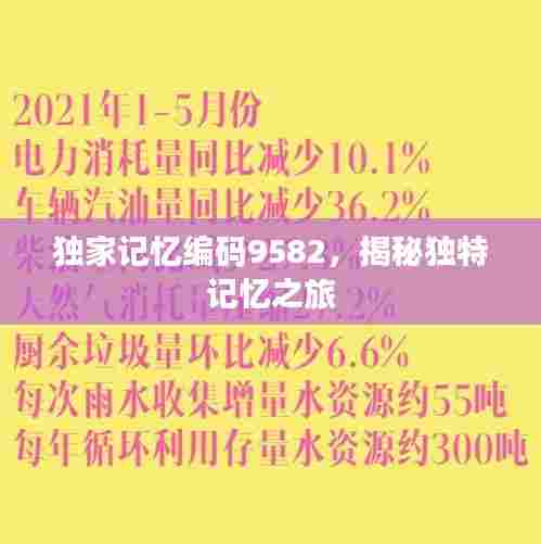 独家记忆编码9582,揭秘独特记忆之旅