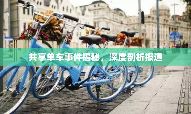 共享单车事件揭秘，深度剖析报道