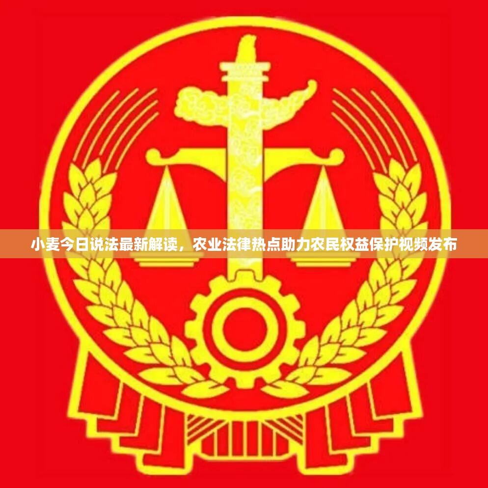 小麦今日说法最新解读，农业法律热点助力农民权益保护视频发布