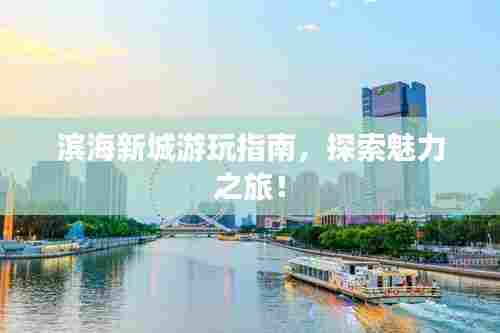 滨海新城游玩指南,探索魅力之旅!