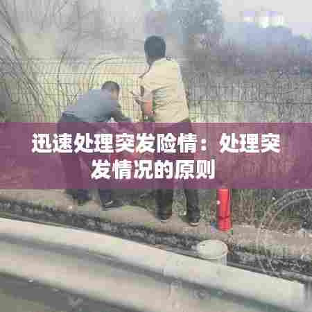 迅速处理突发险情:处理突发情况的原则